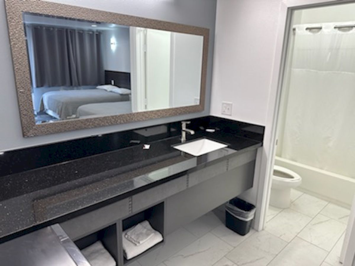 A modern bathroom with a large mirror, sink, and black countertop. A toilet and shower are visible through an open door, with a bedroom beyond.